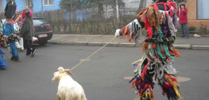 Urătorii au ieşit pe străzi încă de la primele ore ale zilei FOTO: Adevărul