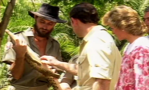 2 printul charles pui de crocodil darwin 1988 jpg jpeg