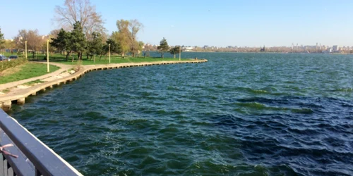 Lacul Tăbăcărie Satul de Vacanţă Constanţa Mamaia Fotot Sînziana Ionescu