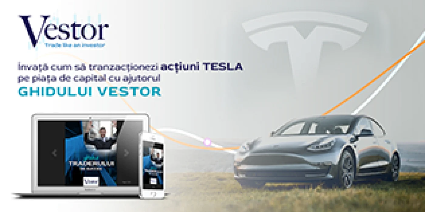 Vestor