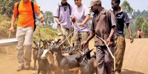 Voluntari  în Africa