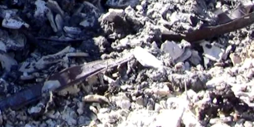 Bacău: Cadavrul unui bătrân, ars şi aruncat în wc de soţie !