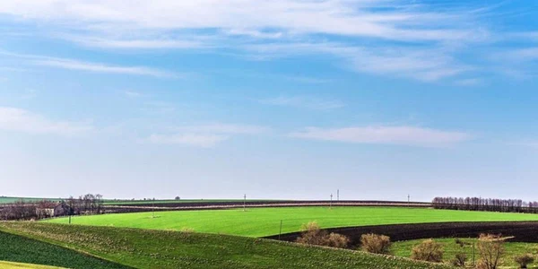 Fotografiile care au transformat Bucovina în Toscana. FOTO Cătălin Urdoi