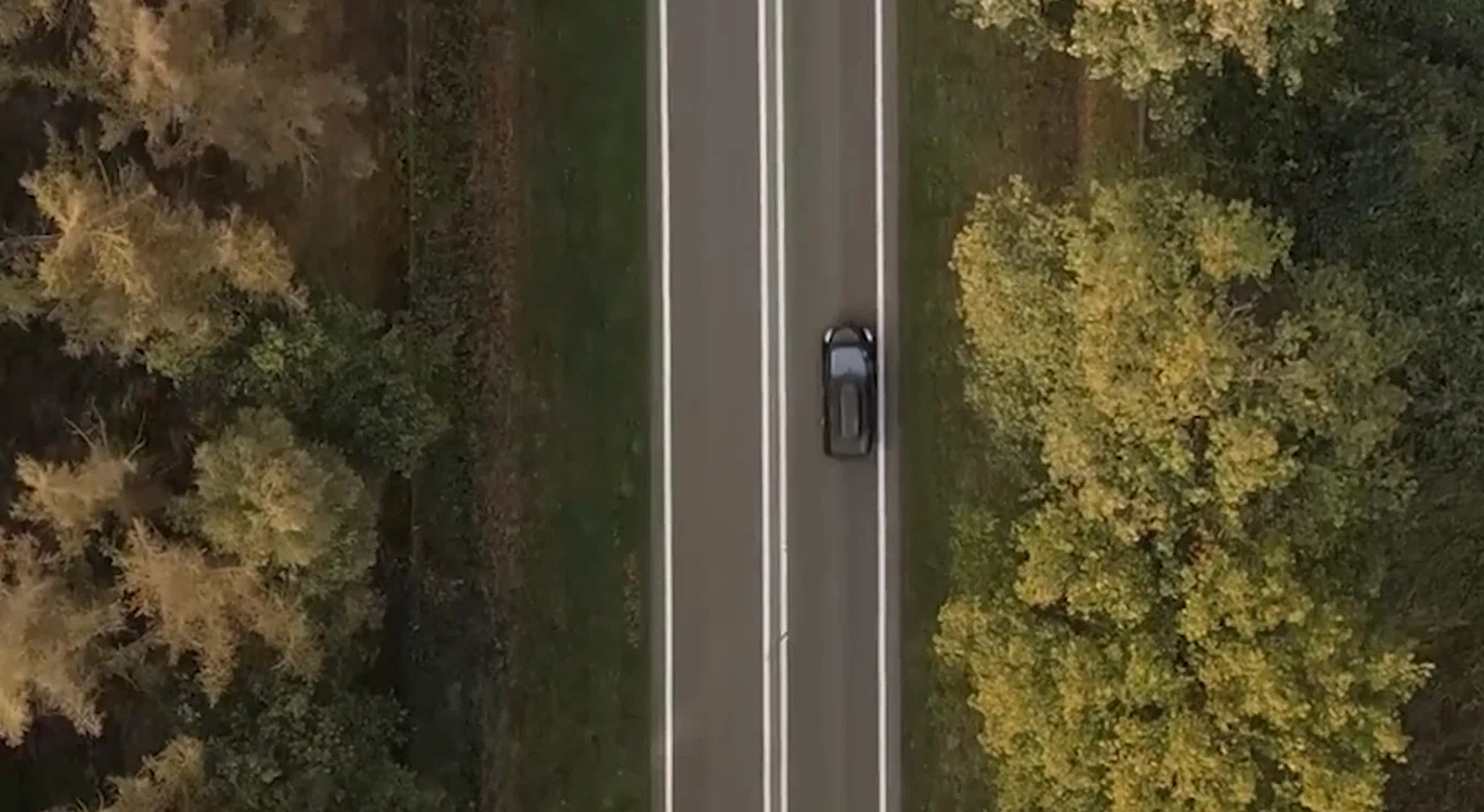 Captură video. Sursa: Alex Kopeykin/Pixabay