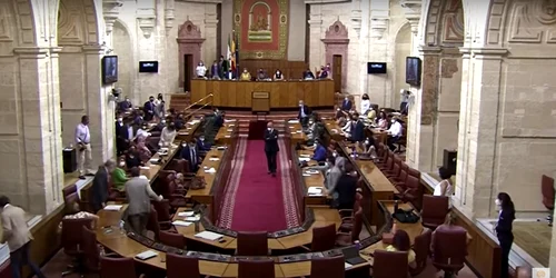 Un şobolan a deranjat o şedinţa a parlamentului regional din Andaluzia FOTO captură video