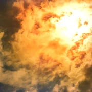 image 2022 07 19 25686061 0 canicula jpg