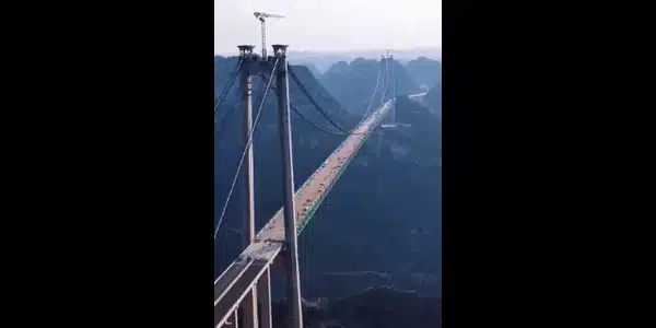 pod gif gif