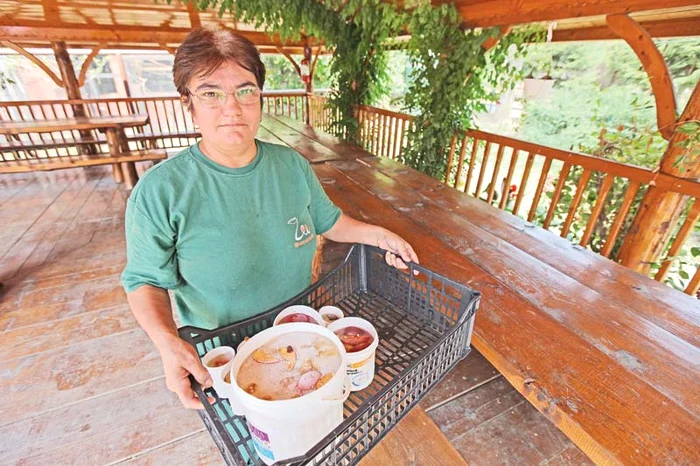 Animalele sunt servite cu fructe pe pat de gheaţă, preparat demn de un masterchef