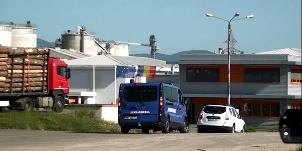 diicot holzindustrie