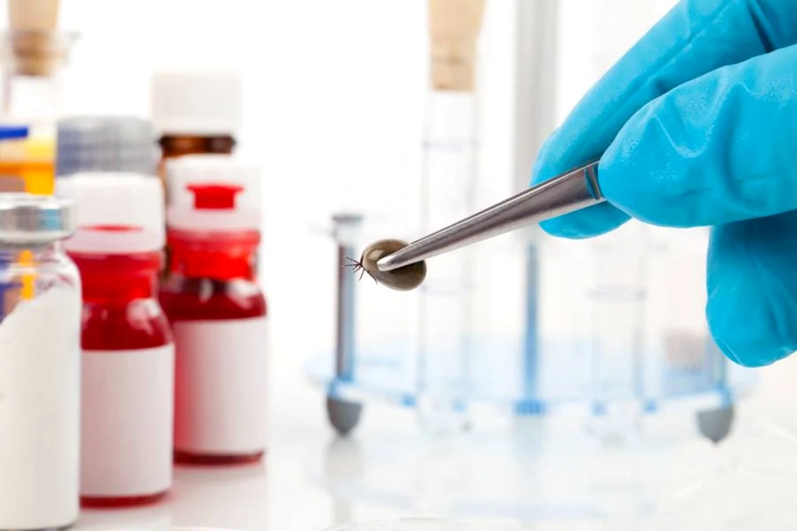 Primul vaccin împotriva bolii Lyme din ultimii 20 de ani începe studiul clinic final FOTO: ARHIVA