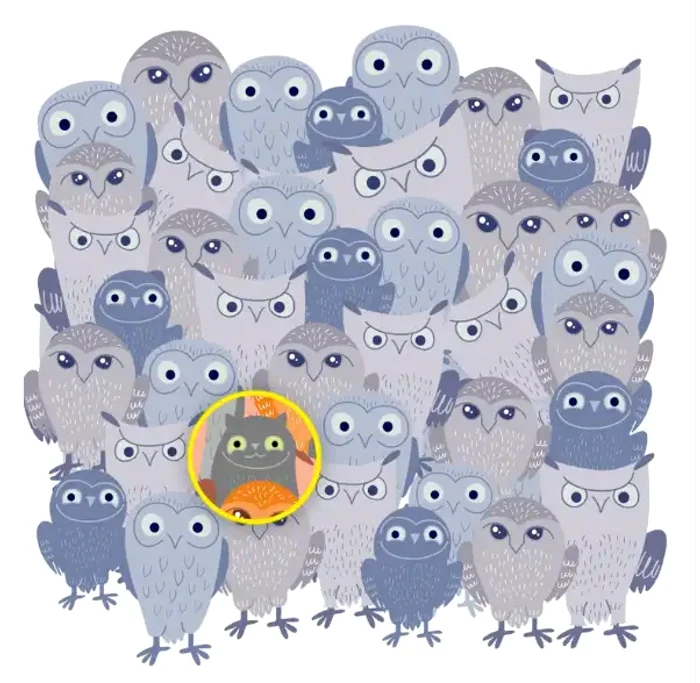 Răspunsul corect / foto: BrightSide