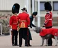Kate Middleton, Prințesa Wales participă la Parada de Sf  Patrick a Gărzilor Irlandeze din 2025,Profimedia 