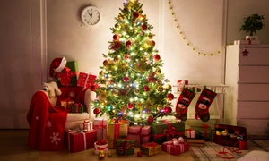 brad de craciun pom de iarna shutterstock 770602372 jpg