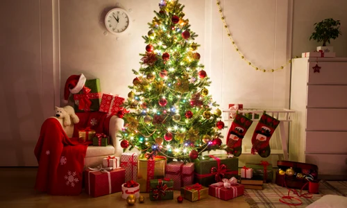 brad de craciun pom de iarna shutterstock 770602372 jpg