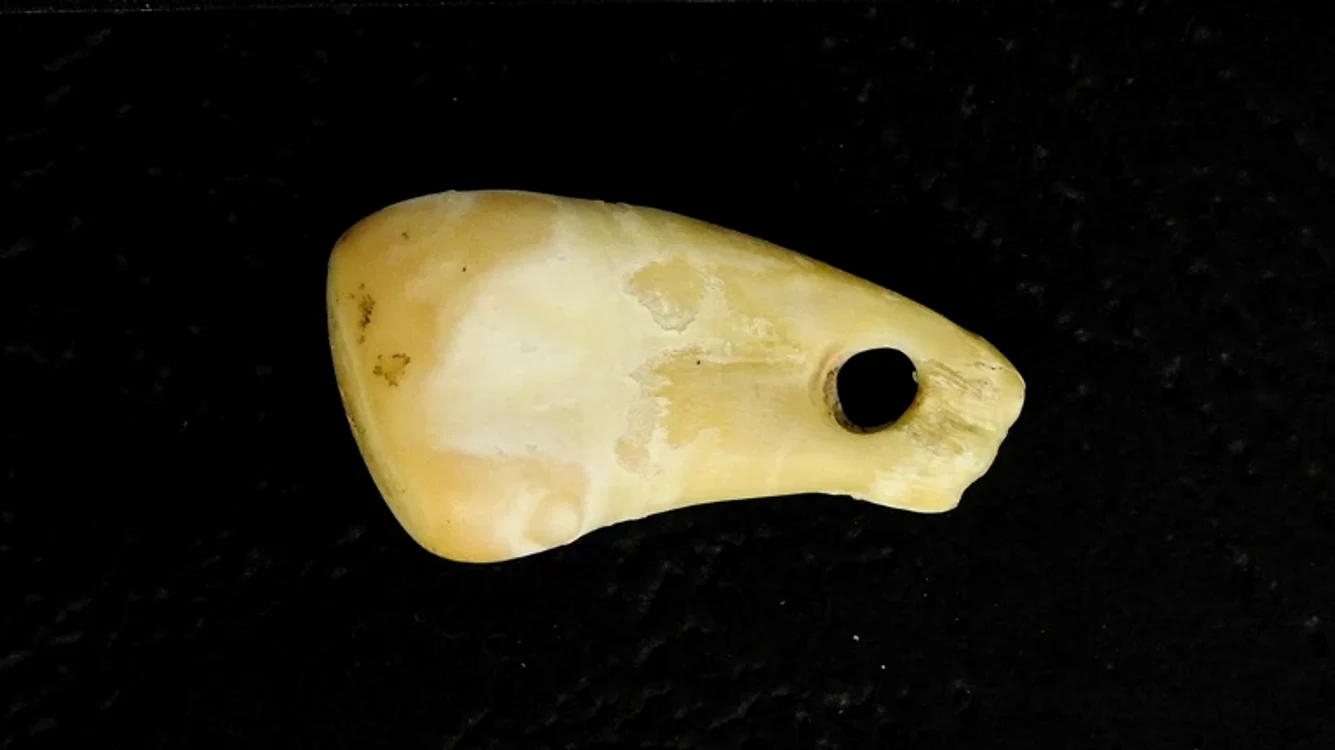 FOTO: Institutul Max Planck pentru Antropologie Evolutivă