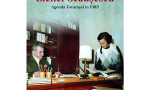 Agenda „Sinistrei“ jpeg