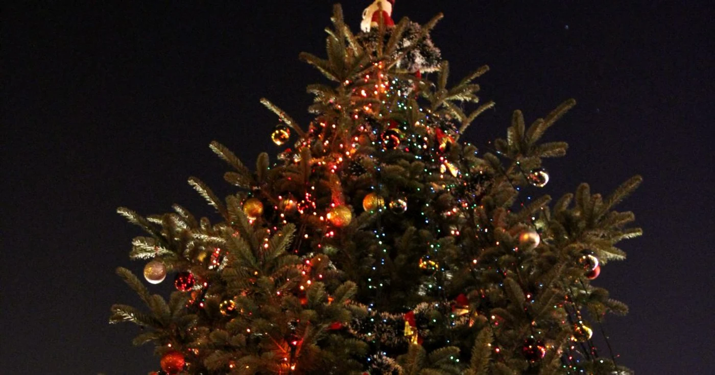 Luminile din bradul amplasat în sectorul 6 vor fi aprinse pe 3 decembrie. FOTO PS 6