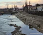 Raul Cerna, un localnic din Hunedoara a umplut malurile de gunoaie  Foto Daniel Guță ADEVĂRUL (12) jpg