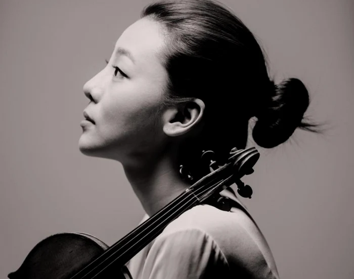 Violonista png