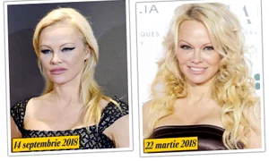 15 pamela anderson  jpeg