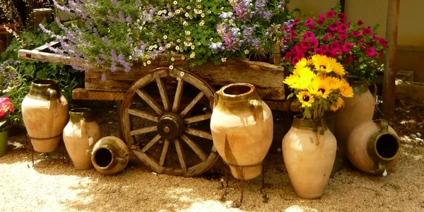 amenajare gradina flori