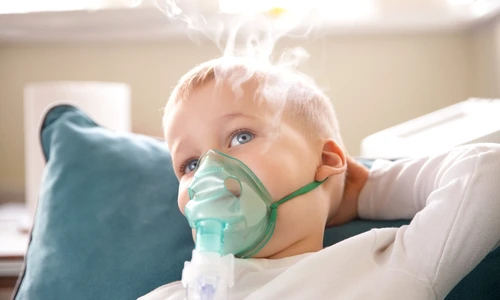 shutterstock 2560018623 jpg