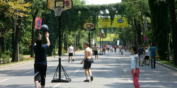Zece kilometri de terenuri pentru sport, pe Şoseaua Kiseleff 