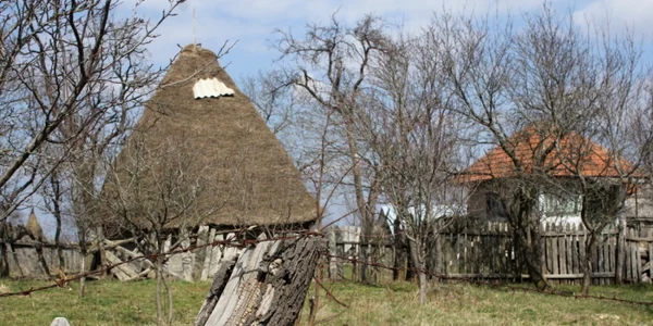 batrana Tinutul padurenilor foto daniel guta