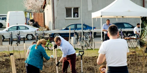Plantare de copaci în Timişoara
