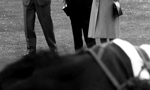 1 profimedia 0018078369 jpg jpeg