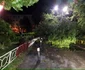 Furtuna a făcut ravagii în Târgu Jiu Foto: Edilitara Public