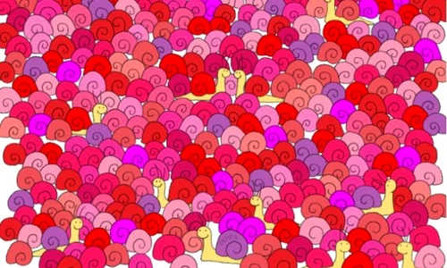 test jpg