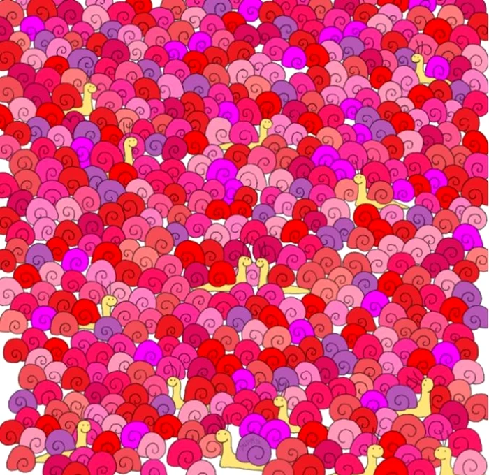 Unde se află inima din imagine / foto: Dudolf