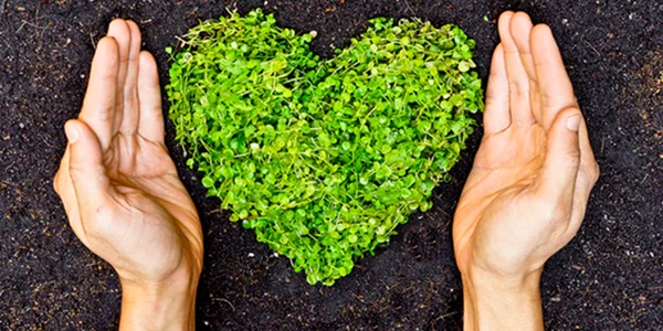 reciclare /sustenabilitate