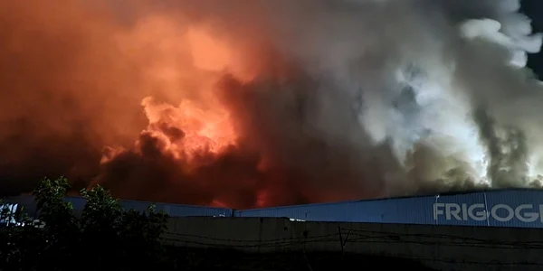 foc timisoara