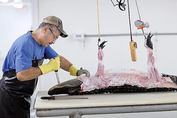 Un kg de carne se  vinde cu 30 $