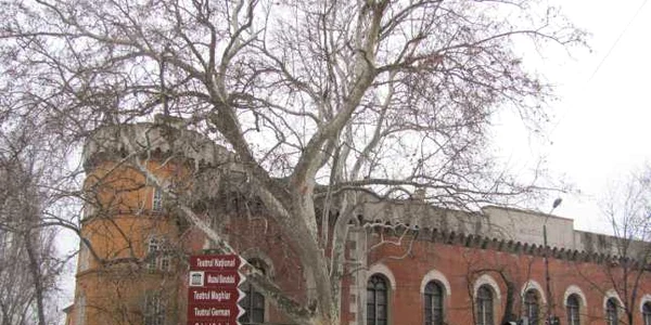 Castelul Huniade Timişoara