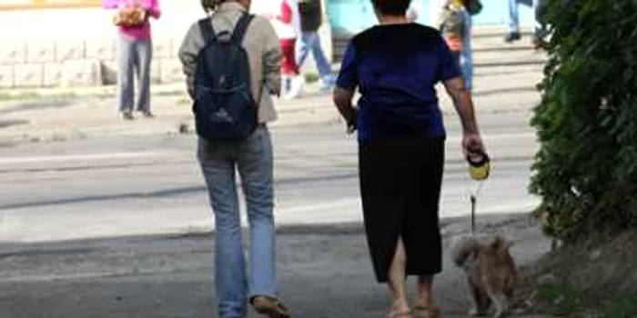 Iaşi: Sancţiuni pentru ieşenii cu animale