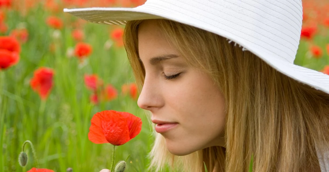 Cele mai multe mirosuri din mediul înconjurător sunt compuse din mai multe elemente FOTO Shutterstock