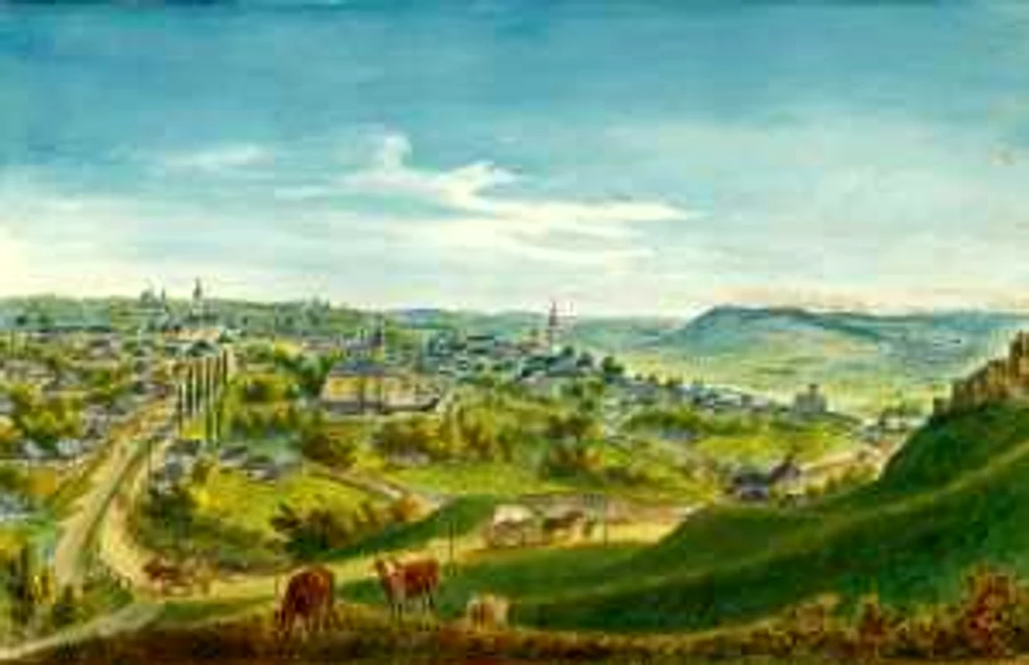 Suceava - pictură de Franz Xavier Knapp (1867)