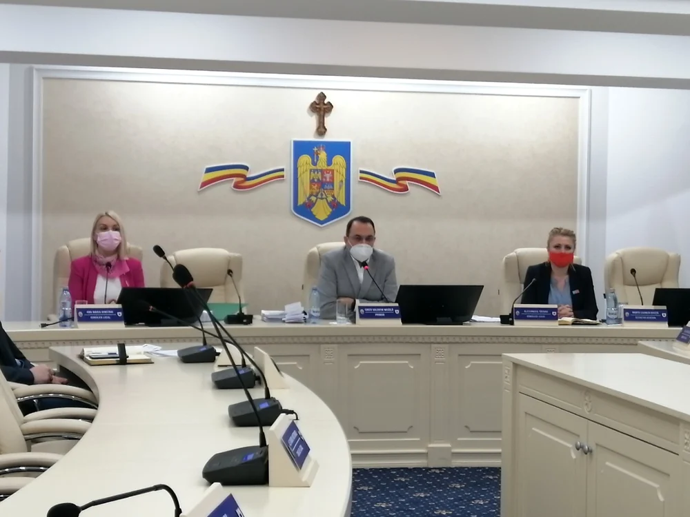 Ana Maria Dimitriu şi Alexandra Tătaru rămas fără atribuţii