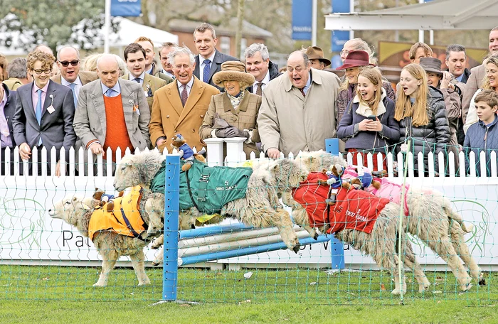 Mieluţii s-au întrecut sub privirile prinţului Charles