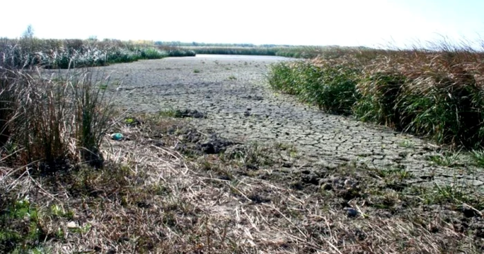 Aşa arată acum cea mai mare parte a lacului Tălăbasca FOTO C Crângan