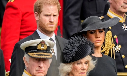 profimedia 1049578532 jpg