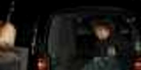 Cadavrul a fost transportat la SML pentru efectuarea necropsiei.