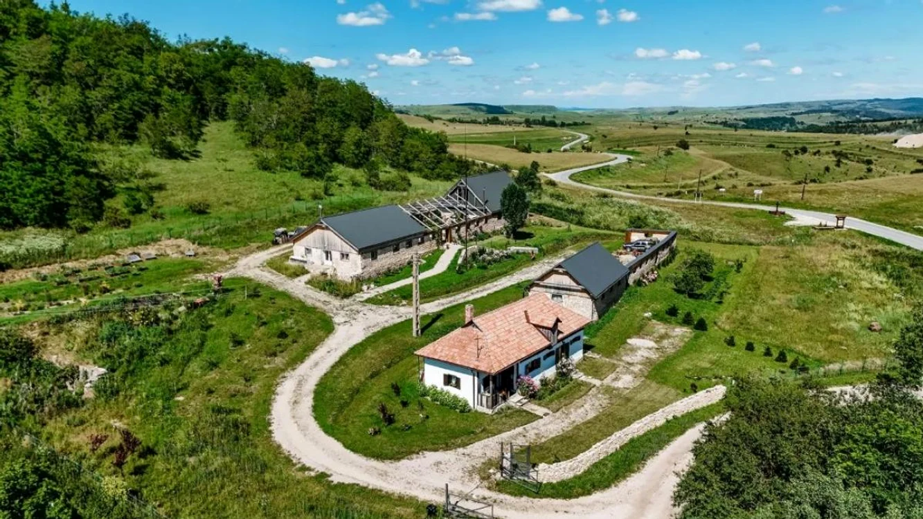 Casă de vânzare în Mânăstireni, Cluj, la 750.000 de euro Foto: sothebysrealty.com