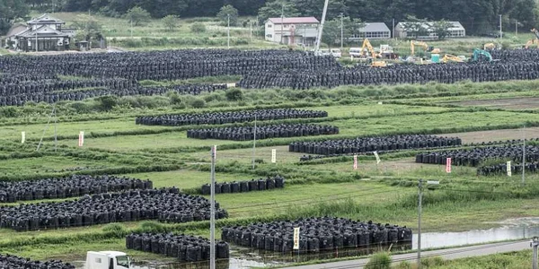 Fukushima dupa 4 ani