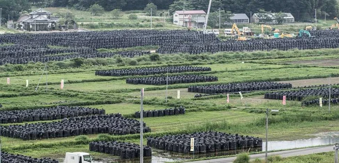 Fukushima după 4 ani. Foto: Arhiva Adevărul