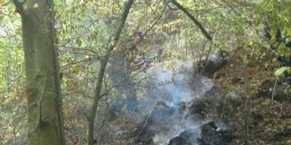 După cinci zile de la izbucnirea incendiului înca mai ard trunchiuri de copaci in Masivul Buila