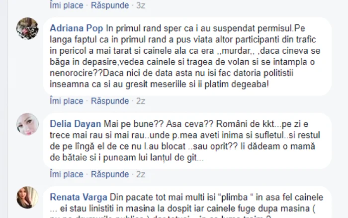 comentarii caine legat de taxi cluj foto facebook mara marginean